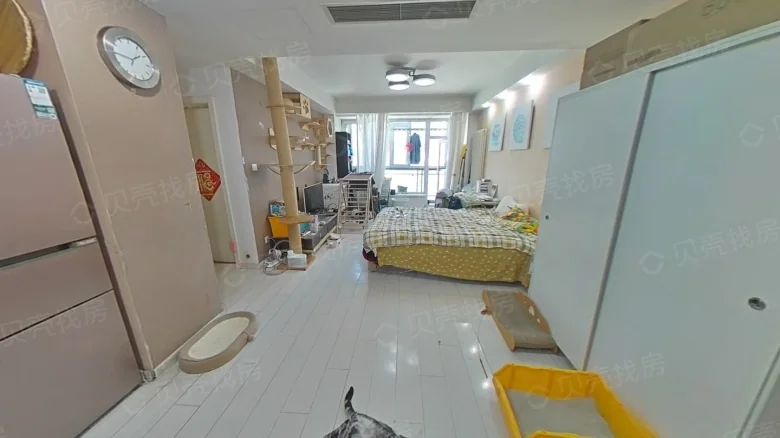 Tianxing Roosevelt - View 1