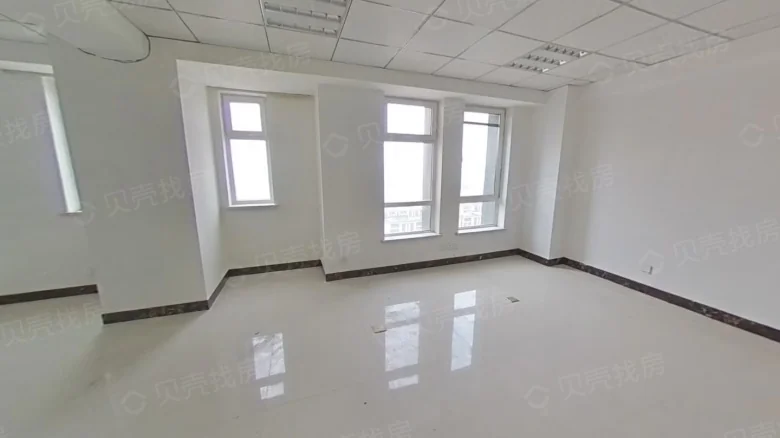 Jinhui Platinum Delight - View 2