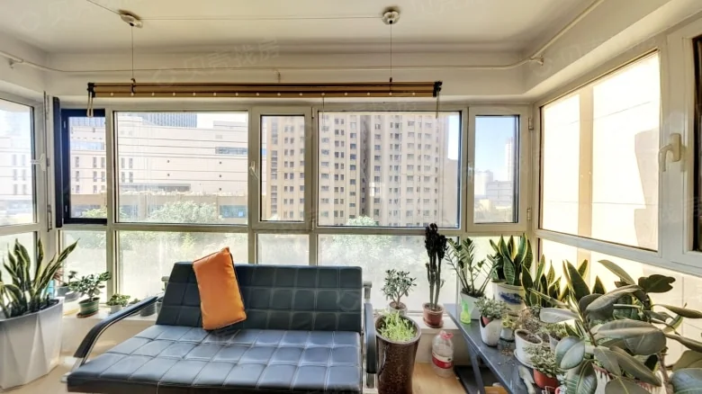 Sincere Maple International - View 6