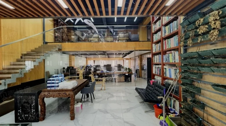 Xinjin International - View 7