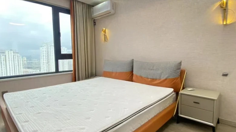 Binhai No. 1 - View 4