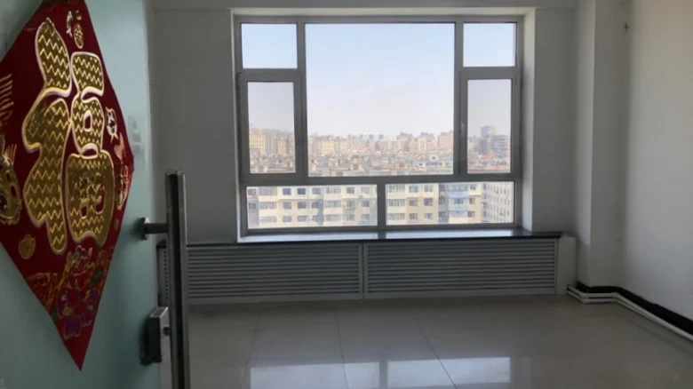 Shengjia New City - View 2