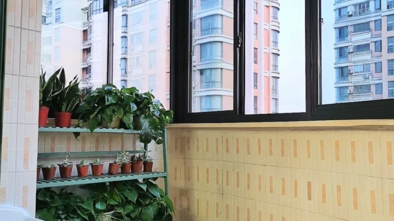 Starry Sea Cloud Peak Garden - View 6