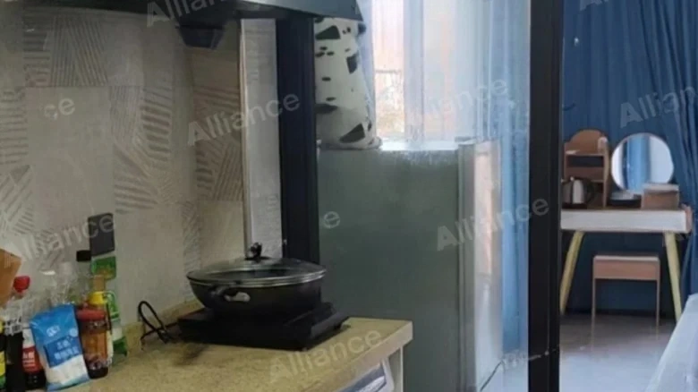 Jinlun Garden - View 12