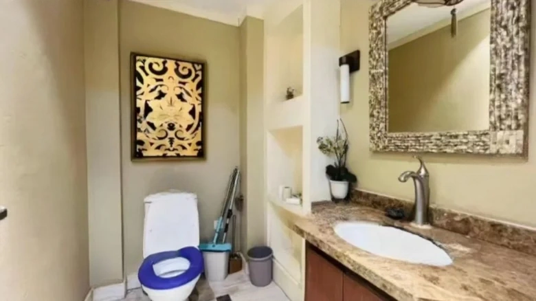 Vanke Whistler Township - View 7