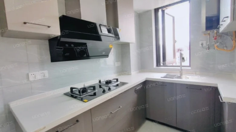 Gold Lion Apartments - View 6