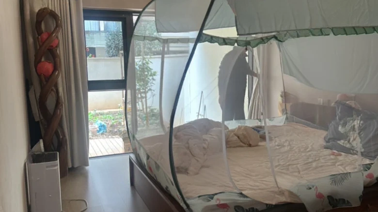 Haidong Junyuan - View 2