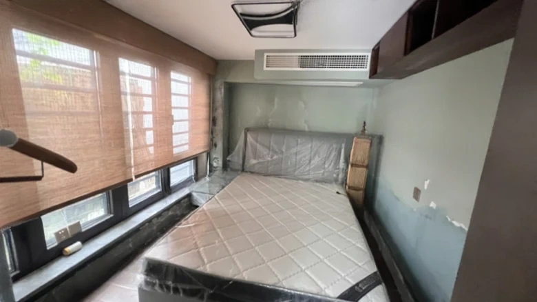 Green Town Peach Blossom Spring - View 6