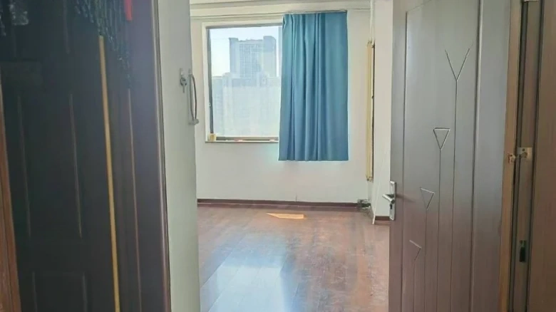 Futian Tower - View 2