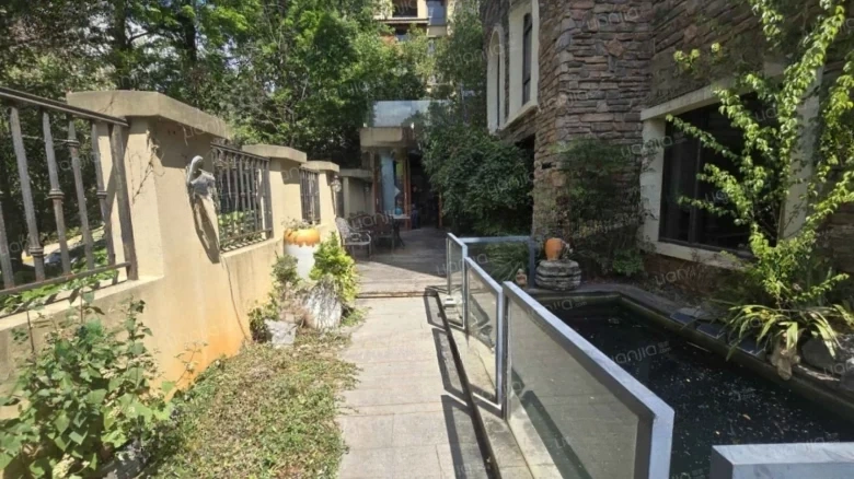 Forest Lake - View 22