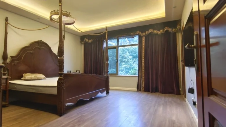 Lushan International Laperville - View 4