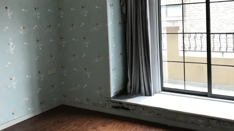 Jingsui Xixinadi Garden - View 4