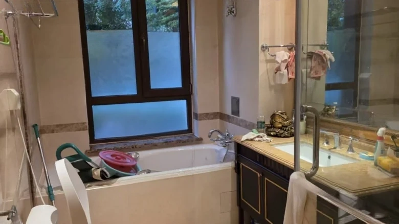 Vanke Parkview - View 5