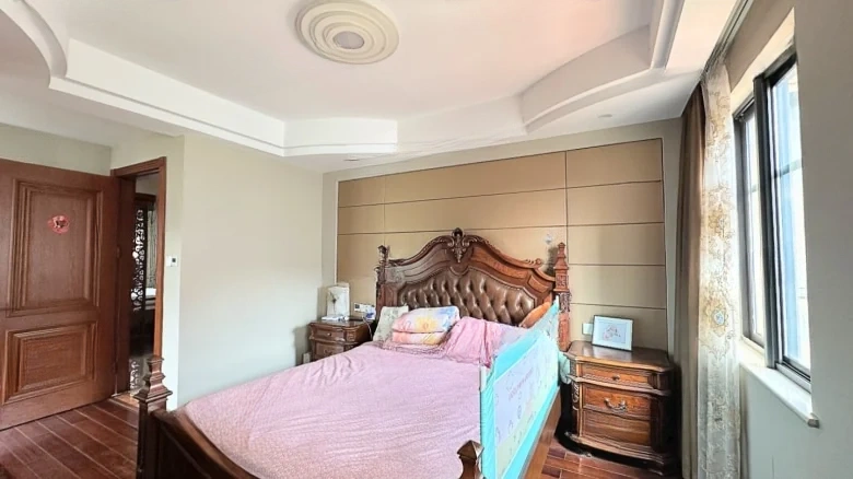 Peninsula Mansion - View 8