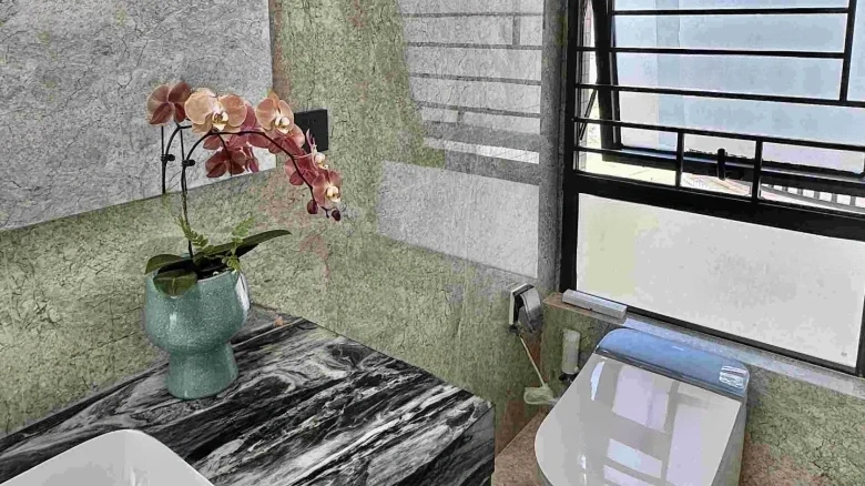 Royal View City - View 23