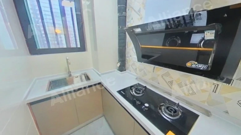 Dahua Longyue - View 5