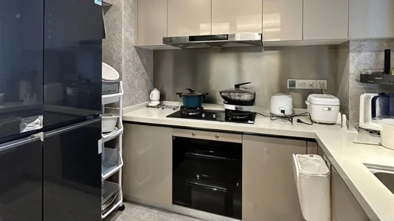 Wuyue Plaza Lan Yue Mansion - View 6