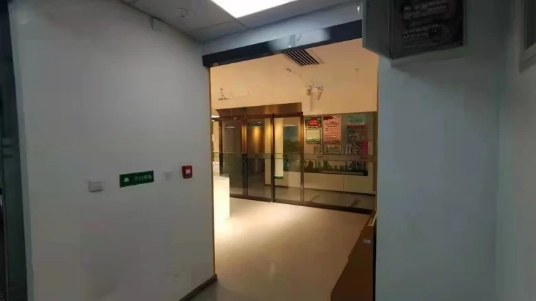 South China · Year Zero Times City - View 3