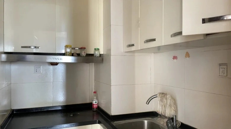 Fuxing Huiyu International City Phase I - View 4