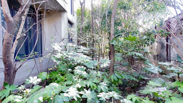 She Shan No. 3 - View 9