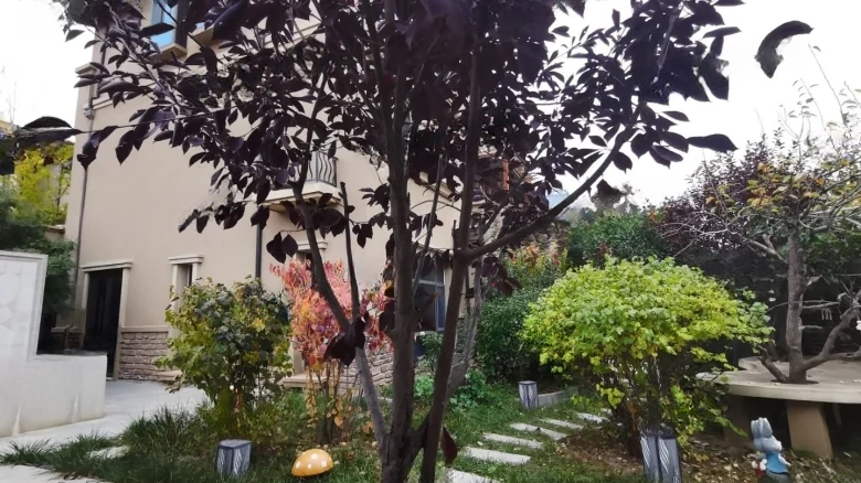 Jadeite Manor - View 20