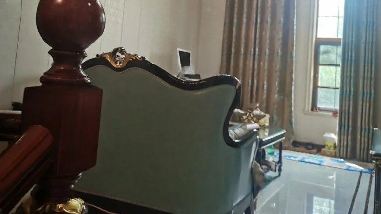 Elegant View - View 2