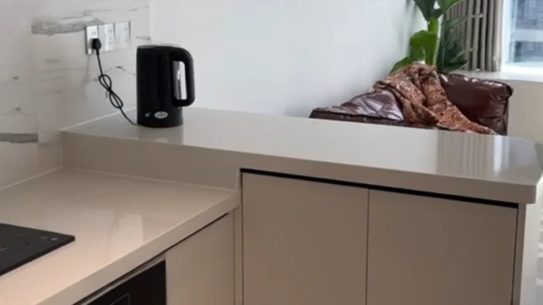 Cloud Seal · Joy Seal - View 3