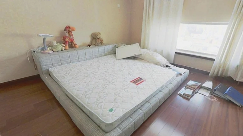 Luxin Changchun Garden - View 4