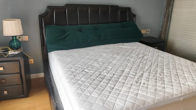 Hanlin Family Residence - View 6