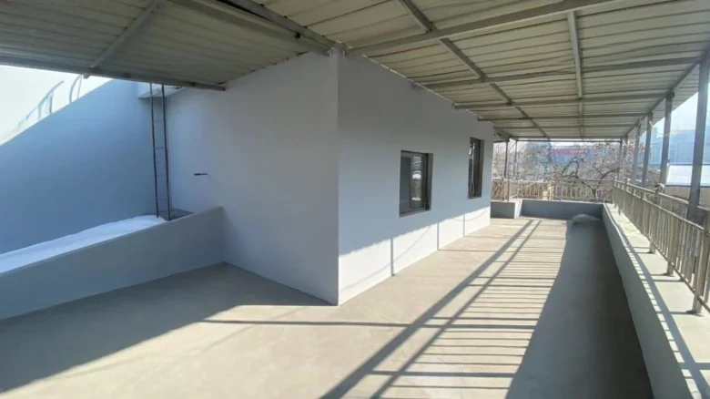 Prosperity Garden - View 13