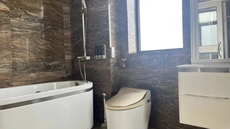 Shunjiang Emperor View City - View 8