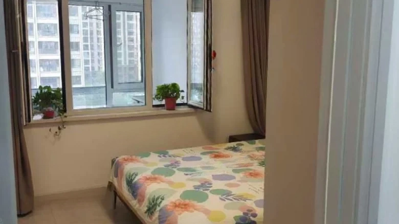 Huaqiang City Phase I - View 3