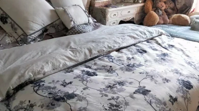 Greenland Emperior Louvre Residences - View 4