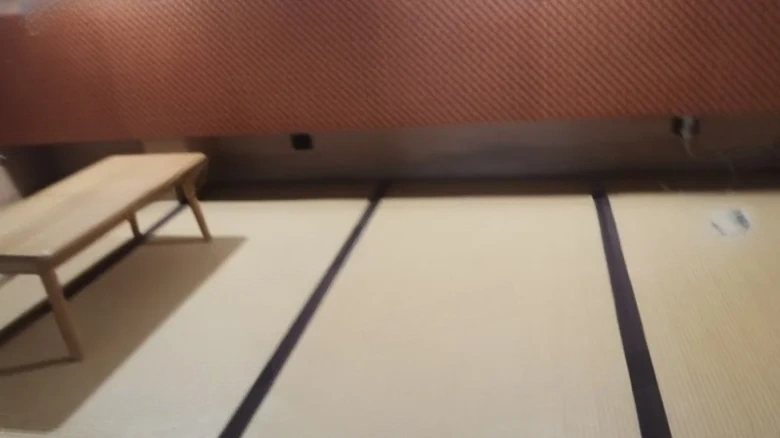 Sunlight Silicon Valley - View 2