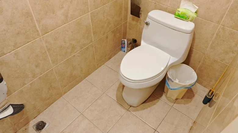 Evergreen Humanities Villa - View 20