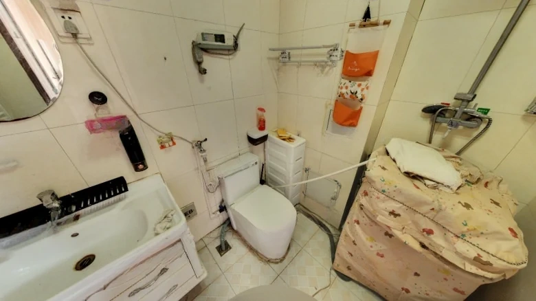 Lishan Mingjun - View 5