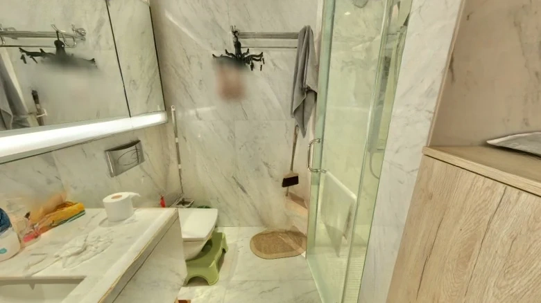 China Resources Land Mansion - View 4