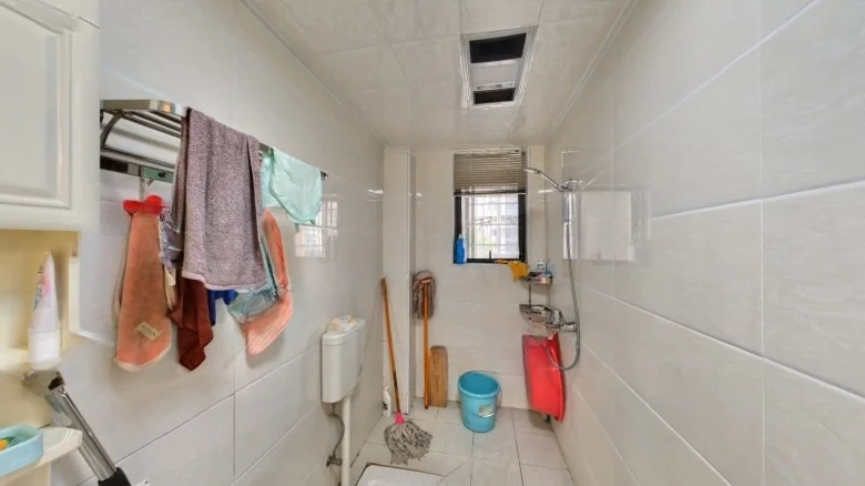 Wanjiacheng - View 7