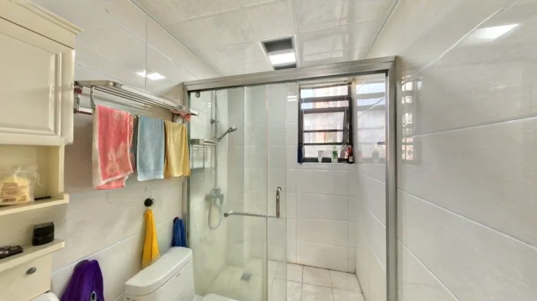 Wanjiacheng - View 8