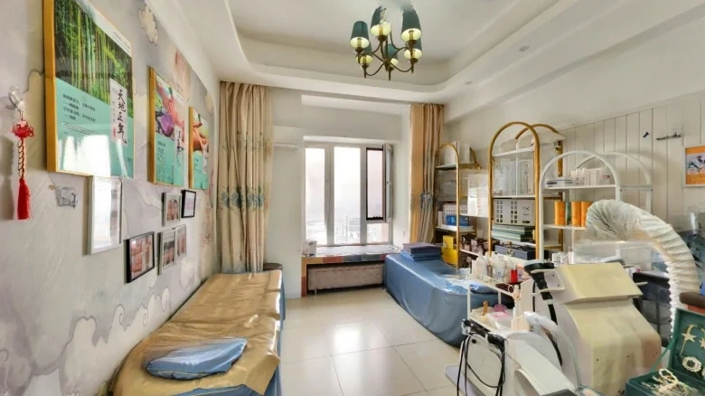 China Resources Land Mansion - View 5