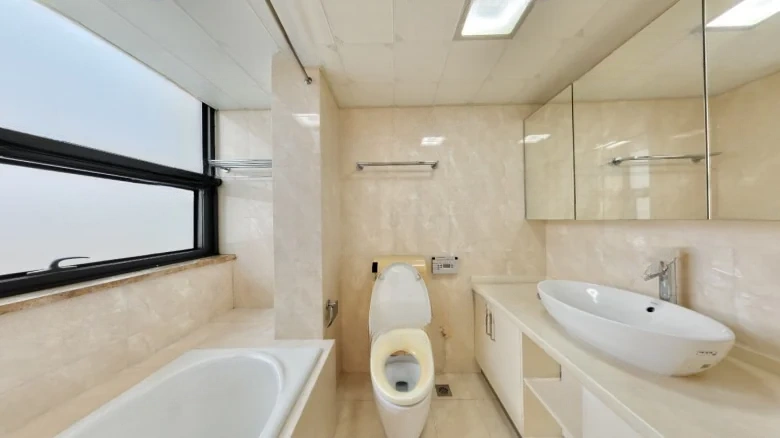 Qinfeng Yajing - View 12