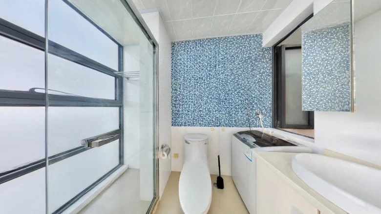 Qinfeng Yajing - View 13