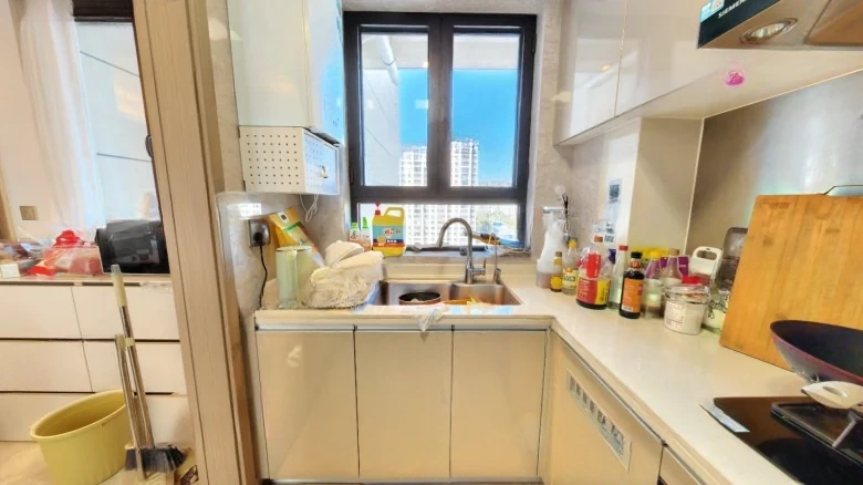 Longxin Jinmao Ruiyuan - View 6