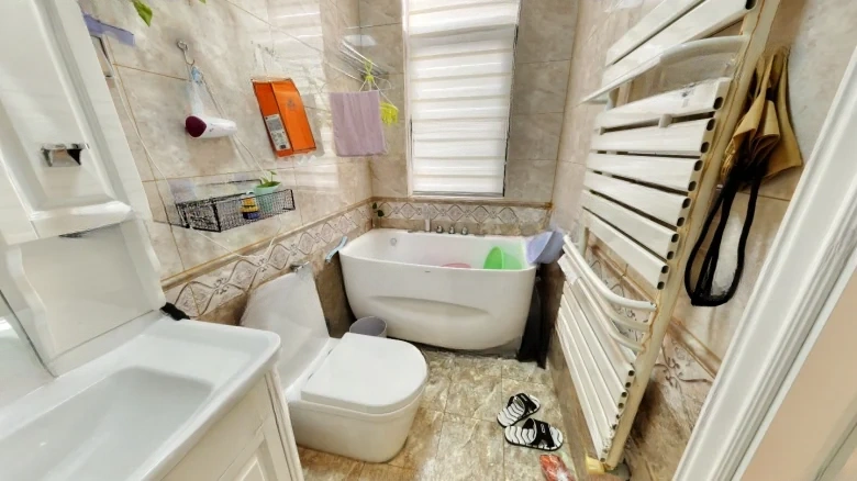 Donglu Fenghuang Shangjun - View 7