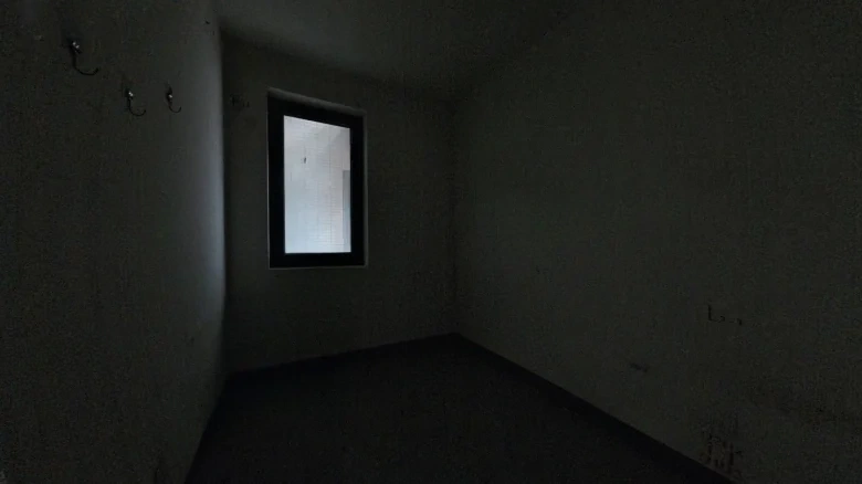 Xiangzhang Garden, District 6, Little Rock - View 3