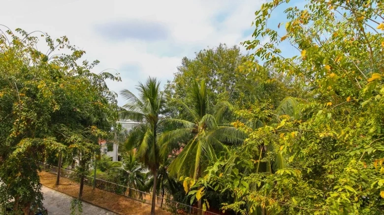 South Sea Estate - View 43