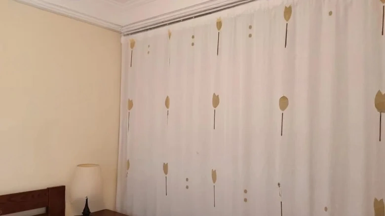 Elegant Jade Courtyard - View 3