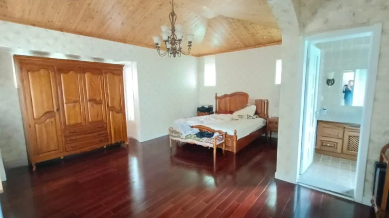 Dianchi Nanjun - View 14