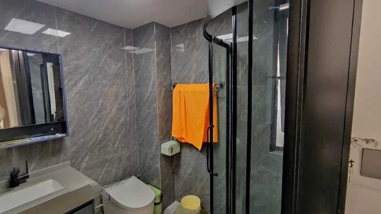 Jindihu Chengfenghua - View 8