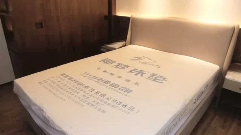 Tian Cheng Central Coast - View 4